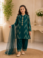 Kids Fancy Wear