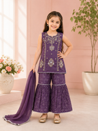 Kids Fancy Wear