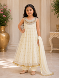 Girls Fancy Embroidered Frock – Party Wear