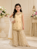 Luxury Kids Festive Wear Dress
